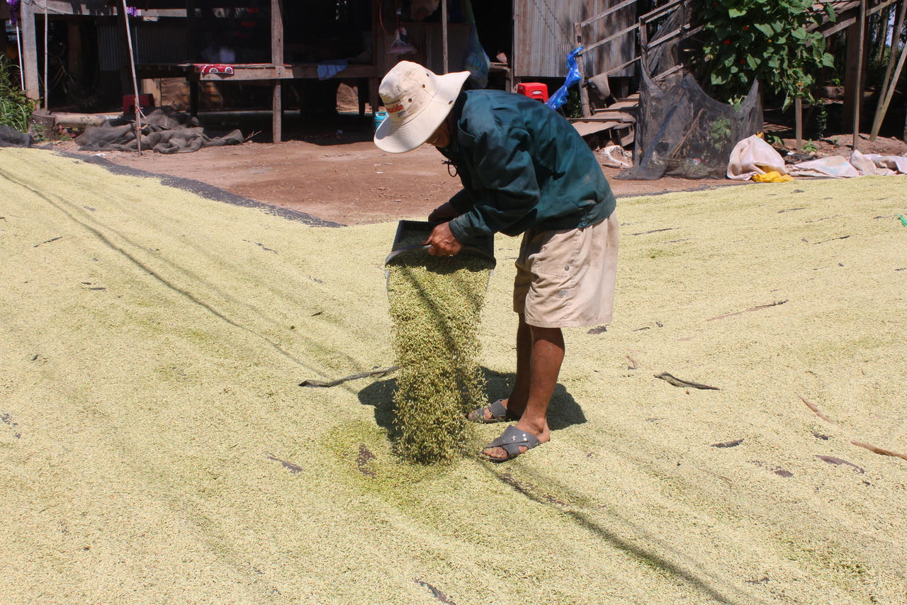 Lũ về sớm hơn dự báo, nông dân ĐBSCL thấp thỏm lo