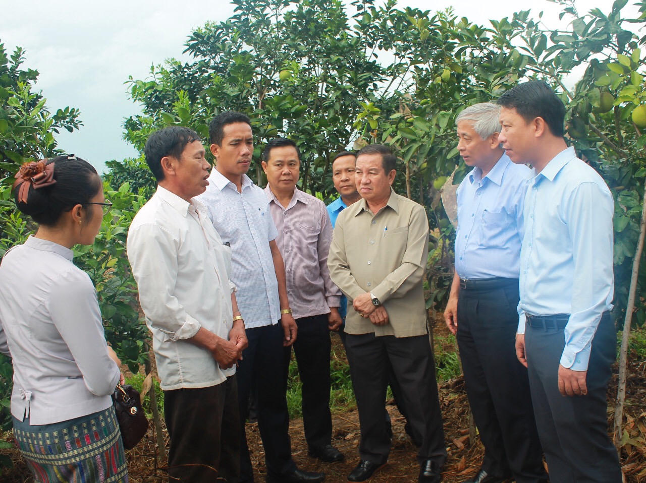 Vườn mẫu Thượng Lộc và kinh nghiệm Hà Tĩnh