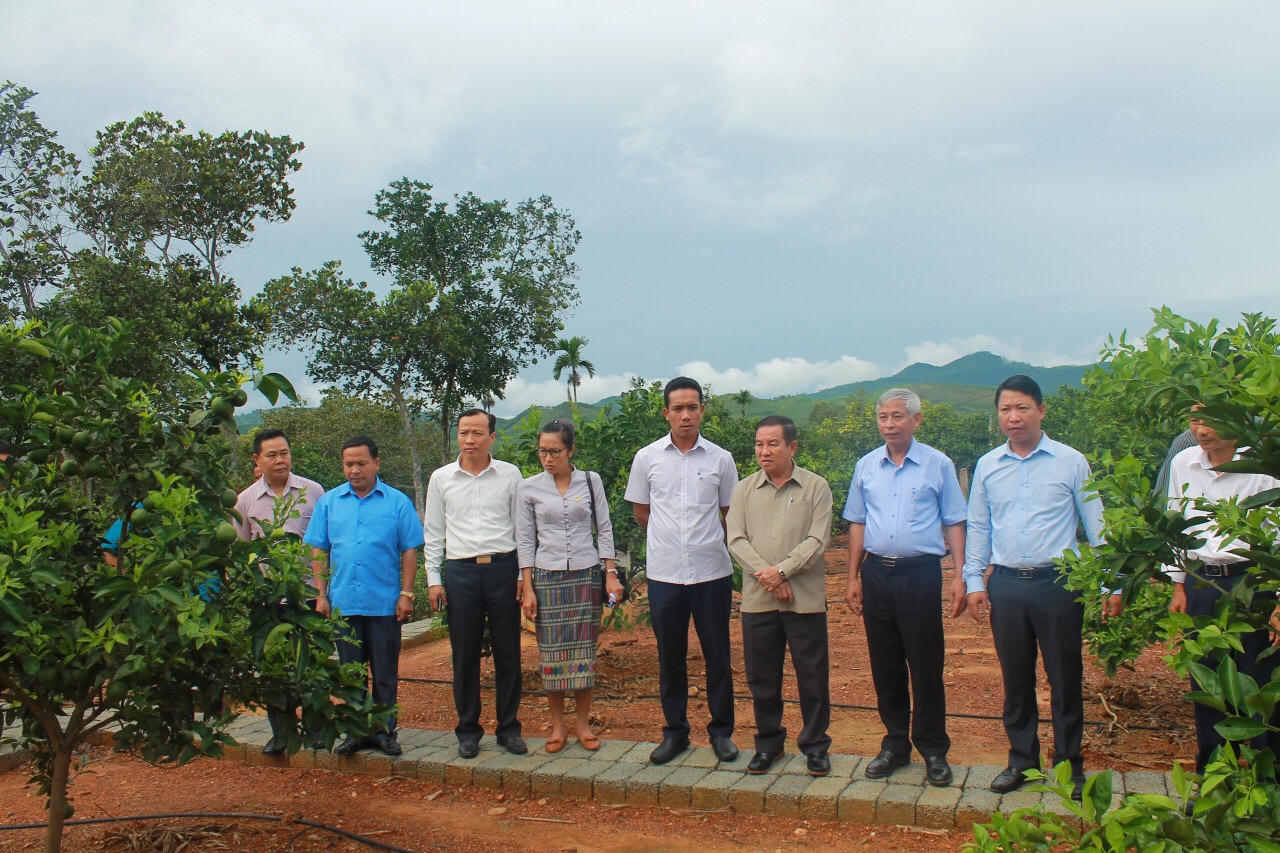 Vườn mẫu Thượng Lộc và kinh nghiệm Hà Tĩnh