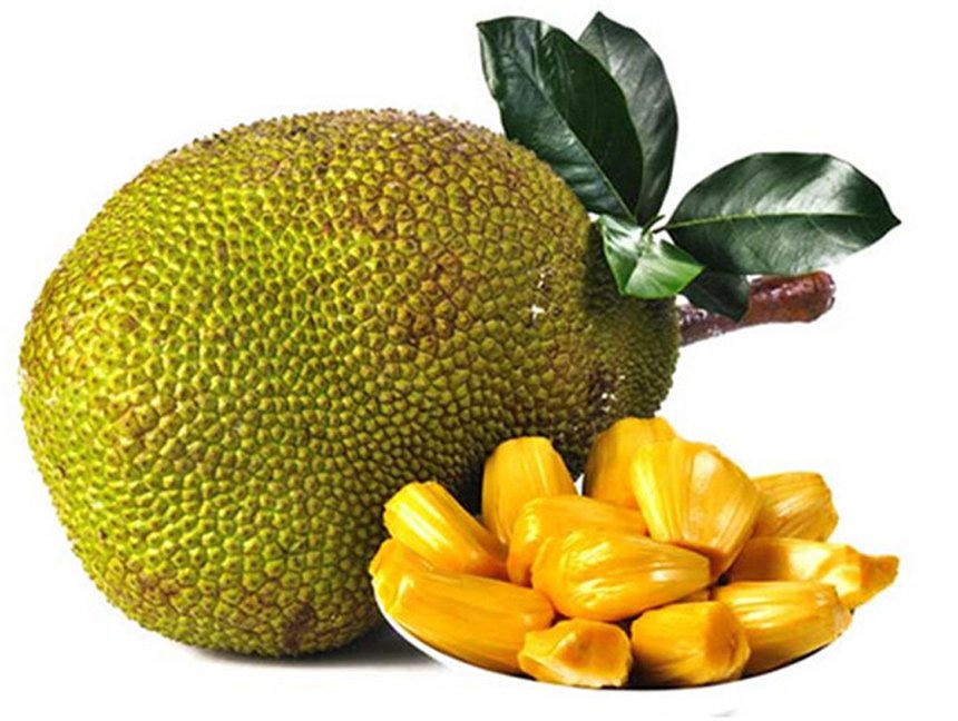 Loại quả 'cứu tinh' tương lai thế giới, thứ tầm thường lăn lóc ở Việt Nam Loại quả 'cứu tinh' tương lai thế giới, thứ tầm thường lăn lóc ở Việt Nam