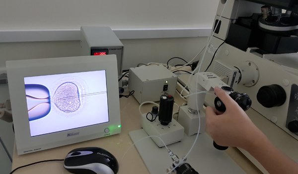 Trào lưu mới, quý cô độc thân gửi trứng để dành Trào lưu mới, quý cô độc thân gửi trứng để dành