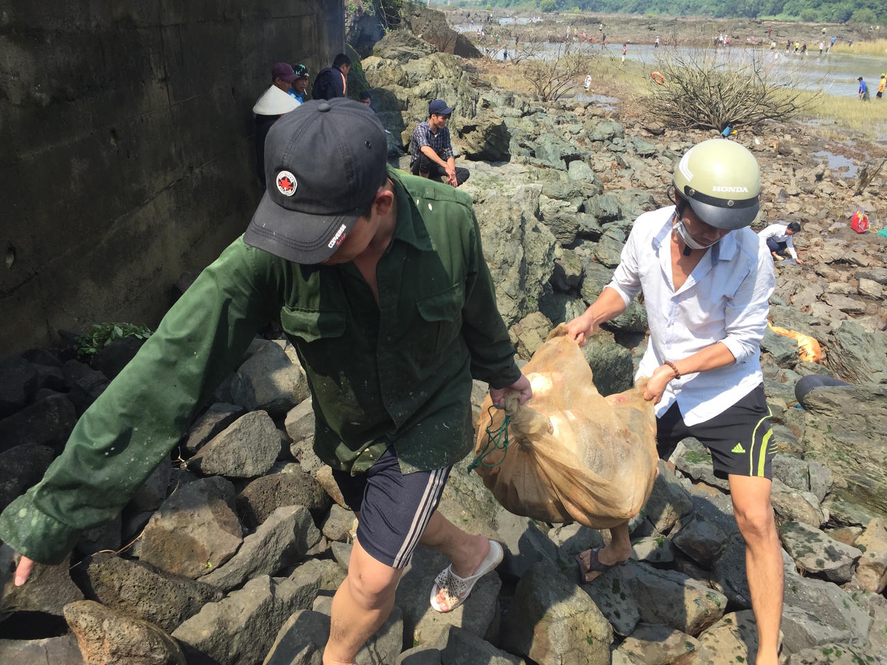 Thủy điện Trị An ngưng xả lũ, người dân hào hứng bắt cá 'khủng'