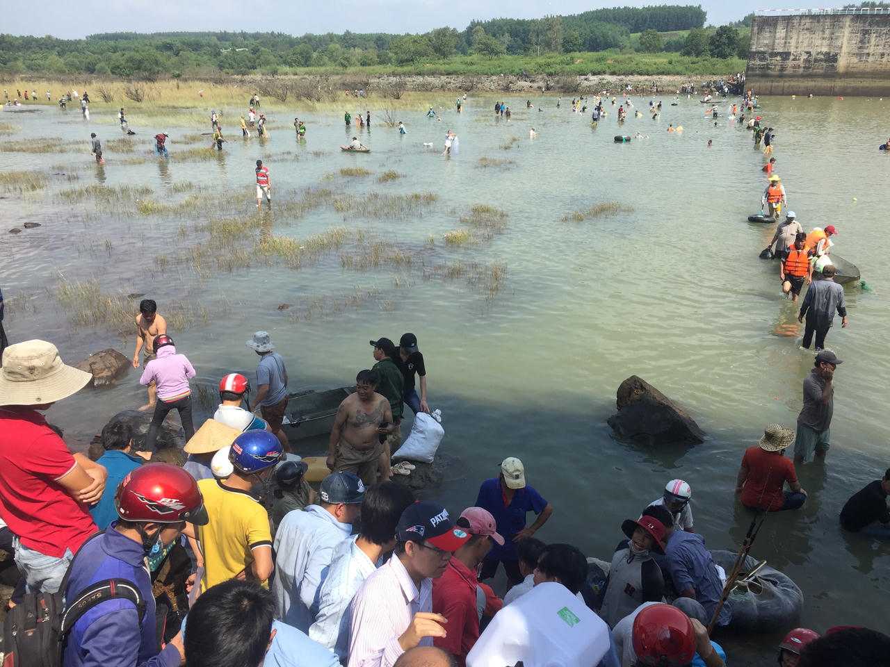 Thủy điện Trị An ngưng xả lũ, người dân hào hứng bắt cá 'khủng'