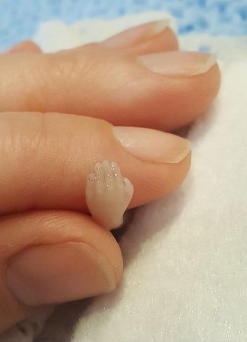 Sharran nắm tay con trai Miran. Ảnh: NVCC.