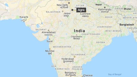 Kinh hoàng: Khỉ 'bắt cóc' và giết chết em bé 12 ngày tuổi