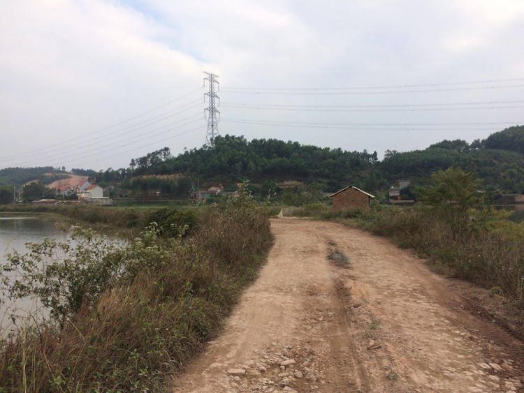 Chị bán cábị sát hại ở Bắc Giang: Nghi phạm là nữ đồng nghiệp