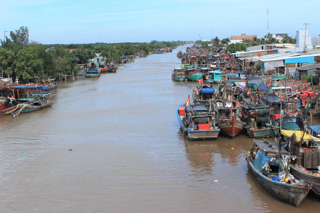 Người miền Tây lo thiệt mùa lúa, hại mùa hoa do bão nguy hiểm đầu năm