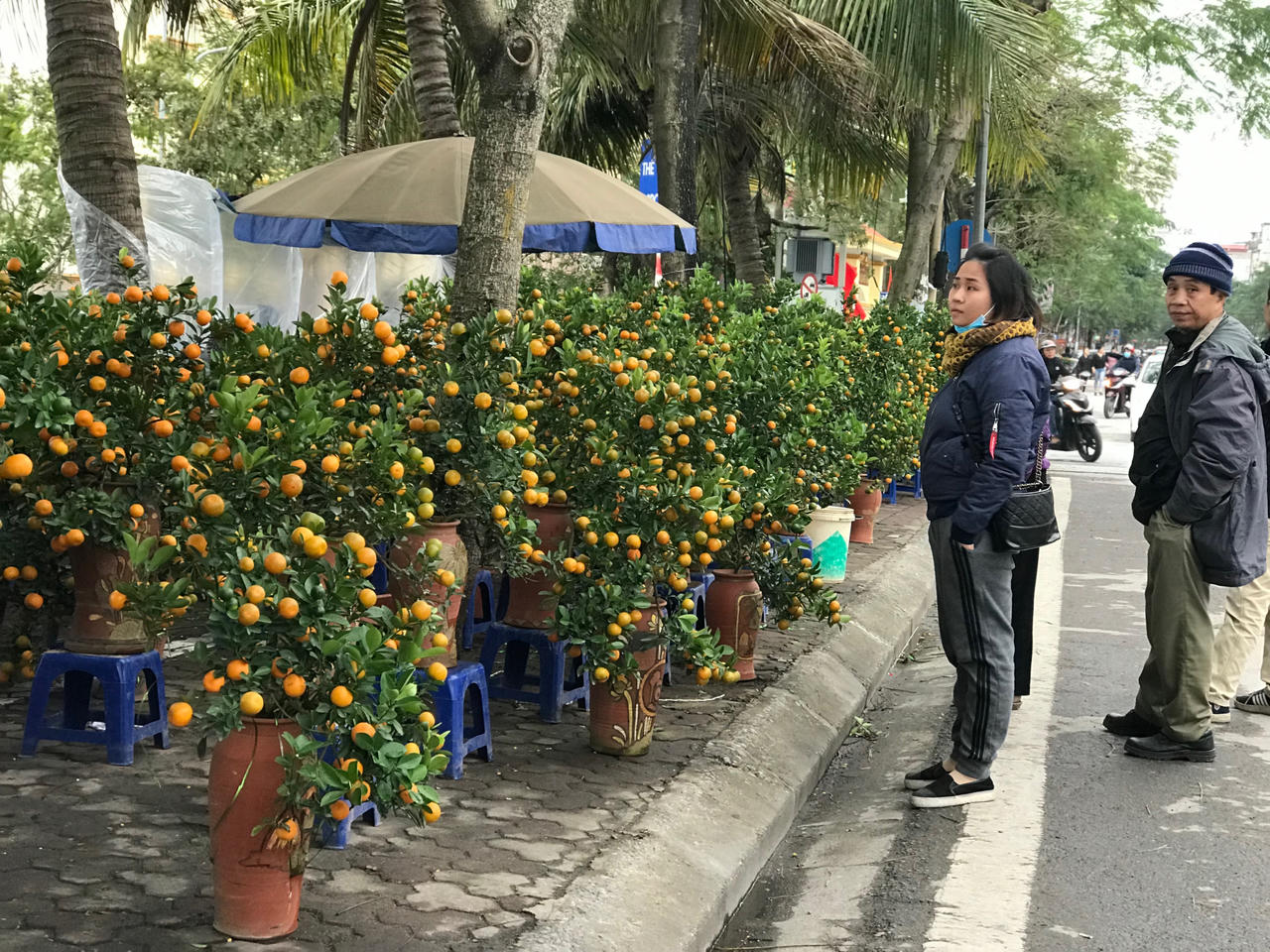 Người Hà Nội nhộn nhịp sắm Tết sớm