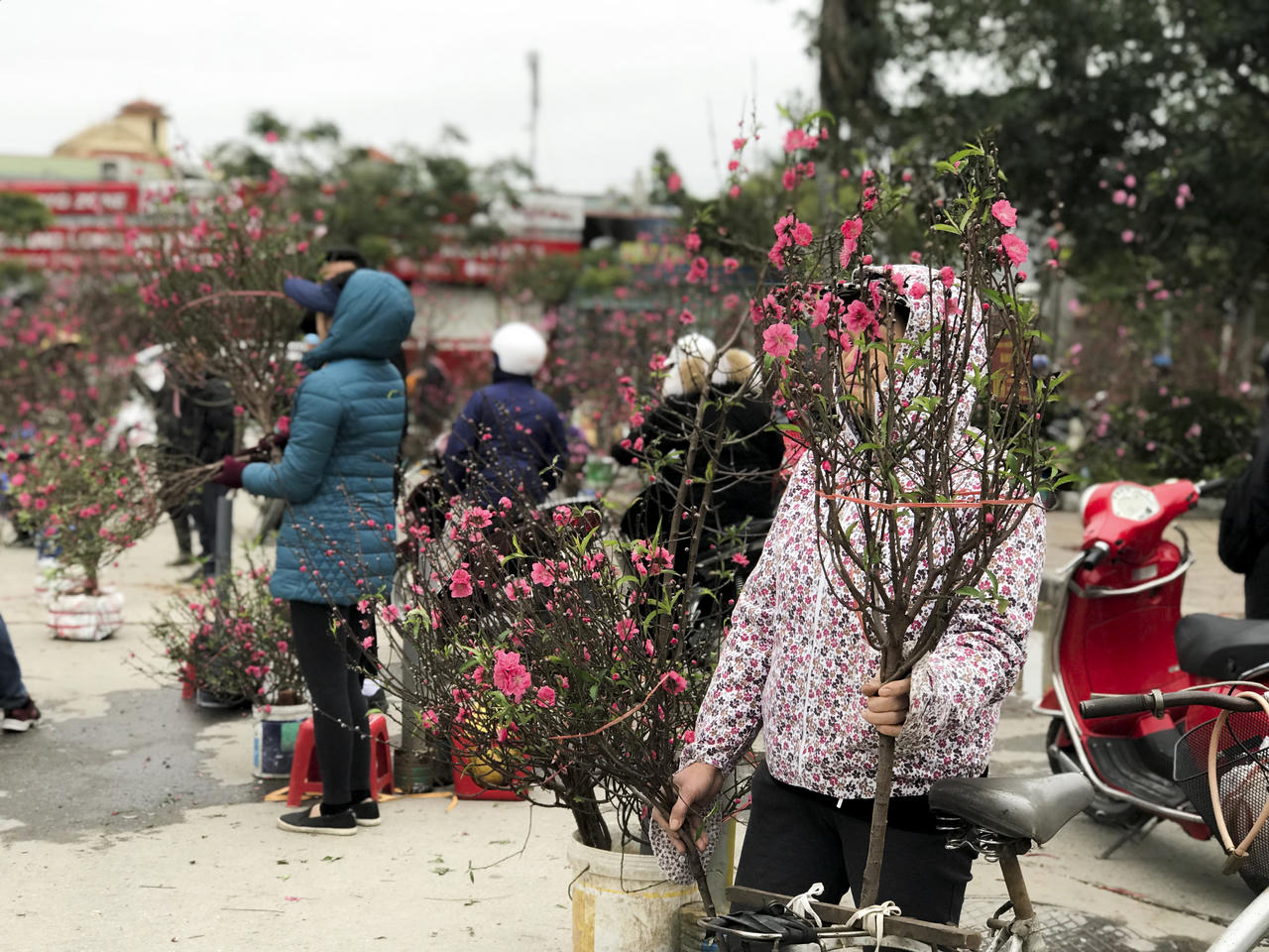 Người Hà Nội nhộn nhịp sắm Tết sớm