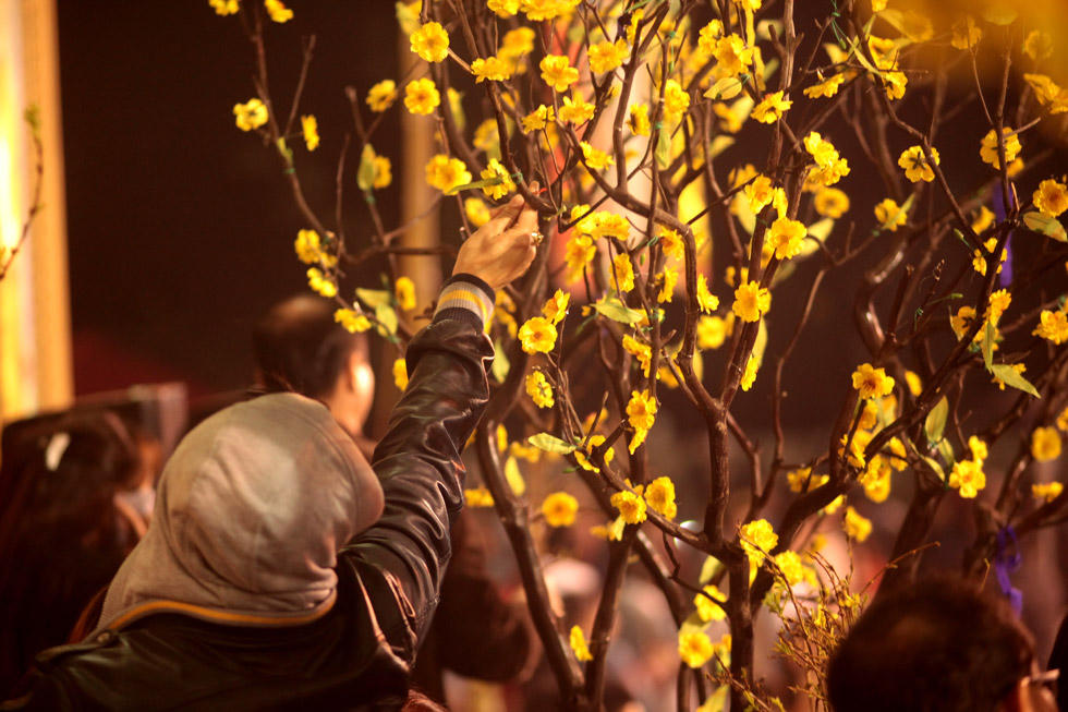 Hái lộc Giao thừa thế nào cho đúng?