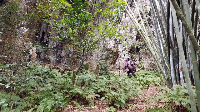 Ngày về xúc động của “cô học sinh” duy nhất sống sót ở hang Ngườm Hẩu 1979 - 6