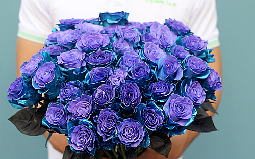 Hồng phủ2 màu xanh tím Lazurite nhập từ Hà Lan khá đắt khách dịp 8/3. Ảnh: Flowerbox.