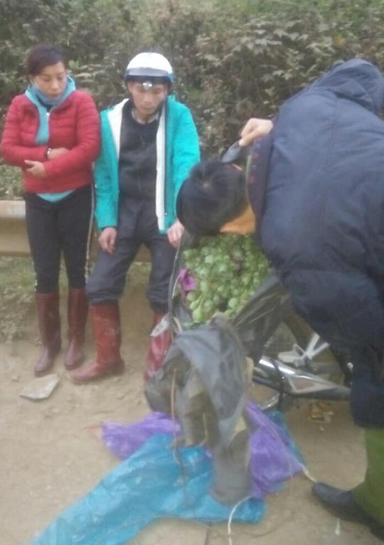 Cặp vợ chồng mua hơn 20 kg cây thuốc phiện làm... quà biếu