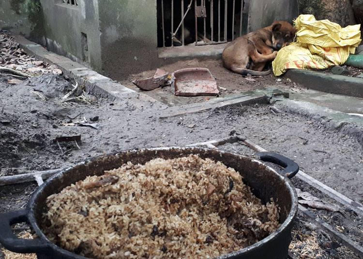 Chảo đồ ăn bà An chuẩn bị cho đàn chó ngày 5/4. Ảnh: Phương Sơn