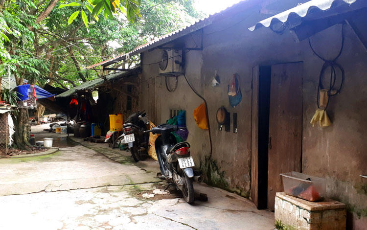 Chủ đàn chó cắn bé trai tử vong: Tôi rất ân hận và không hiểu chuyện gì xảy ra - 1