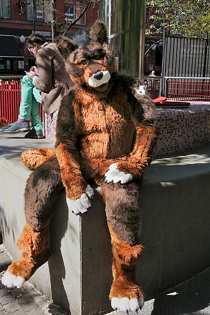 Đôi khi anh cũng mặc thử trang phục của chó ra ngoài đường. Ảnh:ladbible.