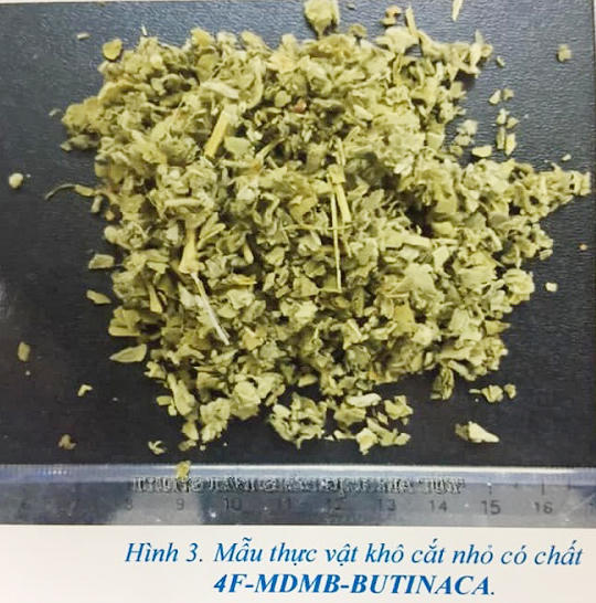 4 loại ma túy mới xuất hiện gây hiểm họa khôn lường tại Việt Nam