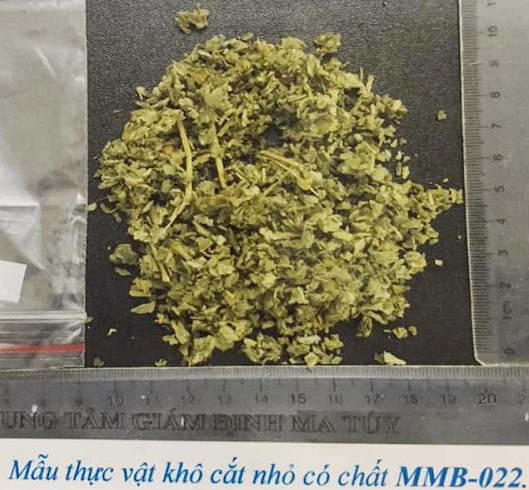 4 loại ma túy mới xuất hiện gây hiểm họa khôn lường tại Việt Nam