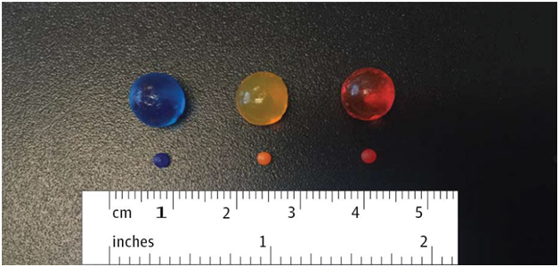 Nguy hiểm khó ngờ từ hạt nở đồ chơi