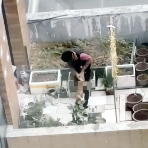 Bé trai 4 tuổi bị lột quần áo, trói tay, dốc ngược đầu xuống đất gây phẫn nộ