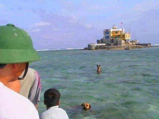 Ai có thể cầm lòng khi đọc bài thơ, thấy cảnh này?