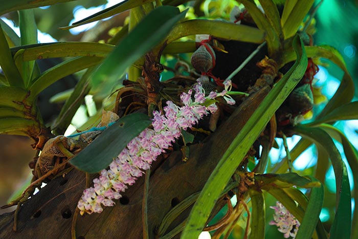 Trường Sa bình yên, đẹp nao lòng trong nắng hè 2019