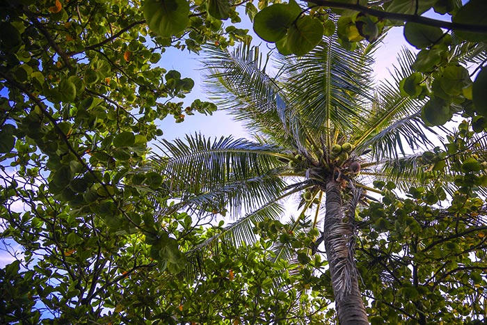 Trường Sa bình yên, đẹp nao lòng trong nắng hè 2019