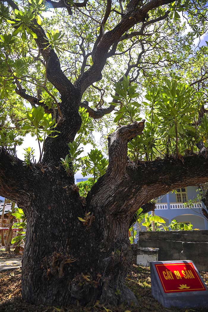 Trường Sa bình yên, đẹp nao lòng trong nắng hè 2019