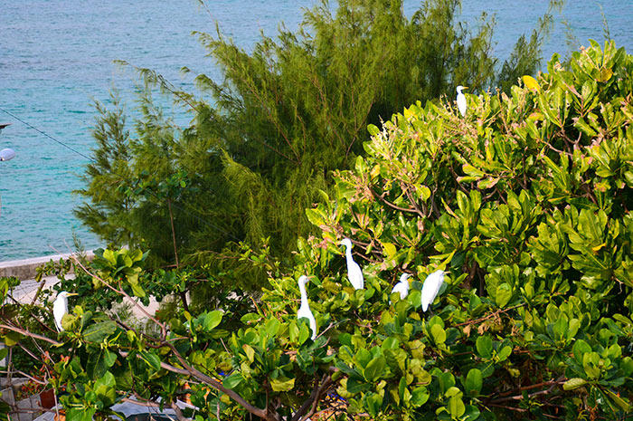 Trường Sa bình yên, đẹp nao lòng trong nắng hè 2019