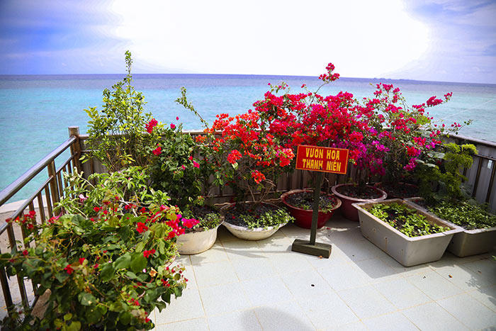 Trường Sa bình yên, đẹp nao lòng trong nắng hè 2019