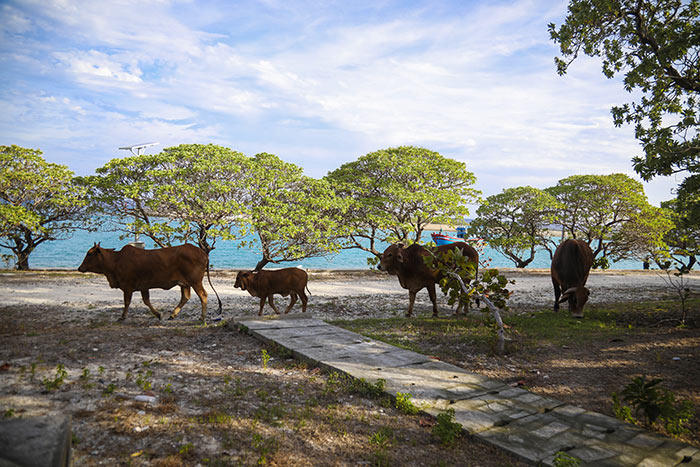 Trường Sa bình yên, đẹp nao lòng trong nắng hè 2019