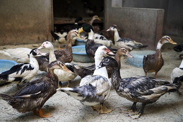 Trường Sa bình yên, đẹp nao lòng trong nắng hè 2019