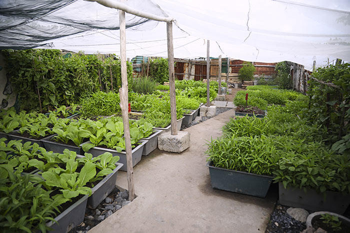 Trường Sa bình yên, đẹp nao lòng trong nắng hè 2019