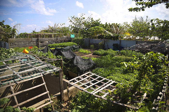 Trường Sa bình yên, đẹp nao lòng trong nắng hè 2019