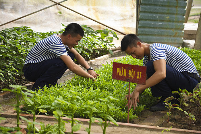 Trường Sa bình yên, đẹp nao lòng trong nắng hè 2019
