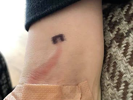 Ảnh: Alexandra Ruddy.