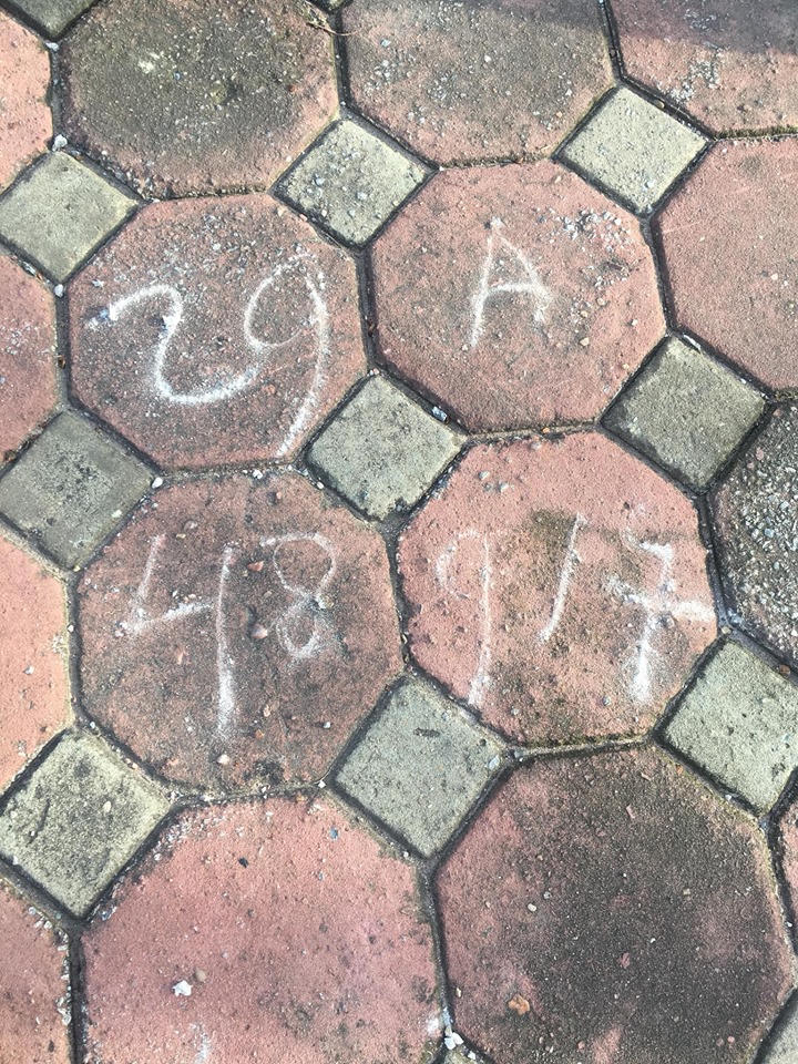 bi o to gay tai nan bo mac, nu lao cong viet ro bien so truoc khi tu vong hinh anh 2