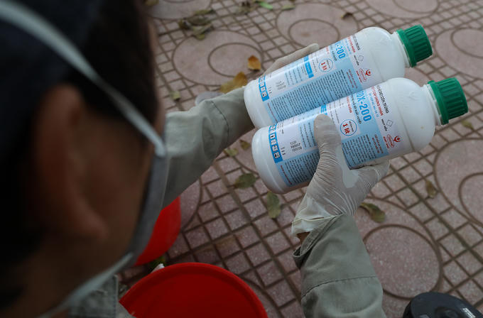 Người Hà Nội soi đèn bắt muỗi sốt xuất huyết