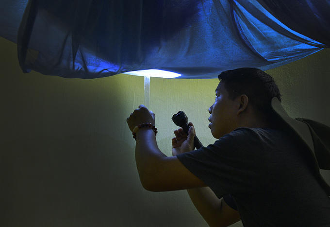 Người Hà Nội soi đèn bắt muỗi sốt xuất huyết