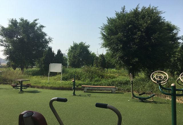 Sự thật rắn độc bủa vây toà chung cư mới ở Hà Nội - 7