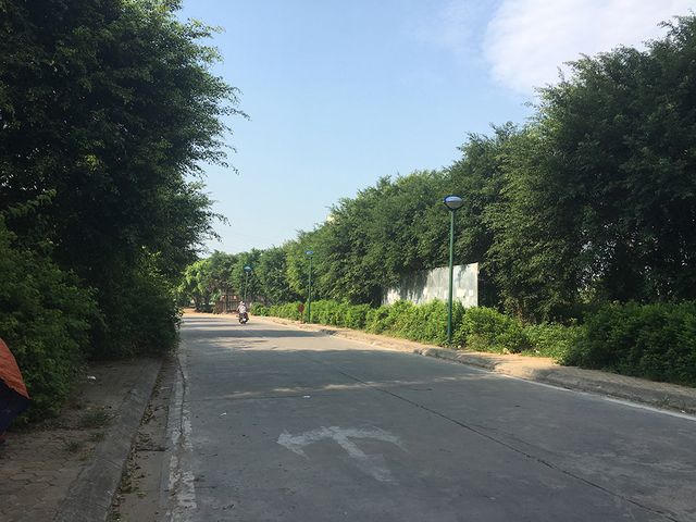 Sự thật rắn độc bủa vây toà chung cư mới ở Hà Nội - 3