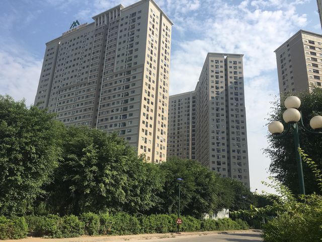 Sự thật rắn độc bủa vây toà chung cư mới ở Hà Nội - 1