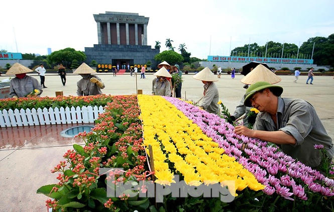 Những người thợ tận tâm dệt những thảm hoa, vườn cảnh quanh Lăng Bác - ảnh 10