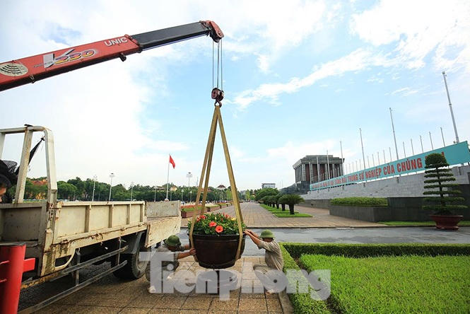 Những người thợ tận tâm dệt những thảm hoa, vườn cảnh quanh Lăng Bác - ảnh 11