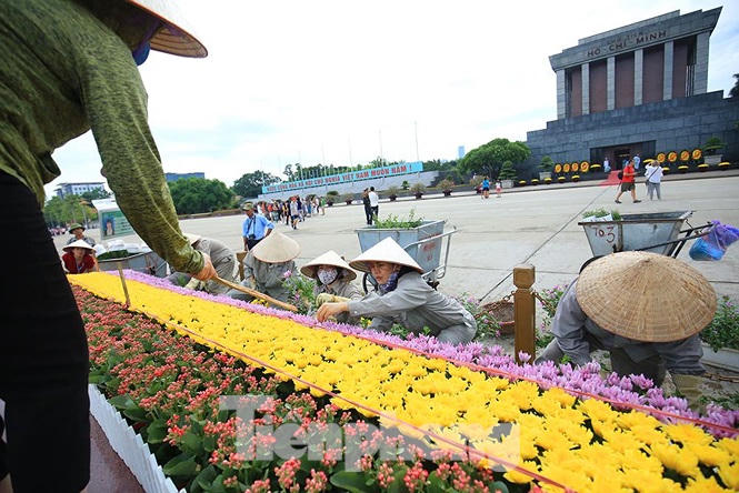 Những người thợ tận tâm dệt những thảm hoa, vườn cảnh quanh Lăng Bác - ảnh 5