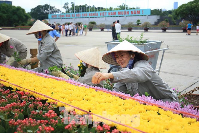 Những người thợ tận tâm dệt những thảm hoa, vườn cảnh quanh Lăng Bác - ảnh 6