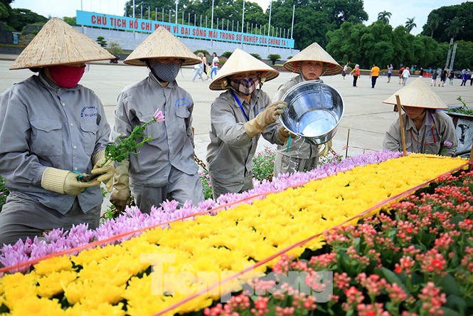 Những người thợ tận tâm dệt những thảm hoa, vườn cảnh quanh Lăng Bác - ảnh 7