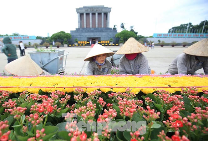 Những người thợ tận tâm dệt những thảm hoa, vườn cảnh quanh Lăng Bác - ảnh 8