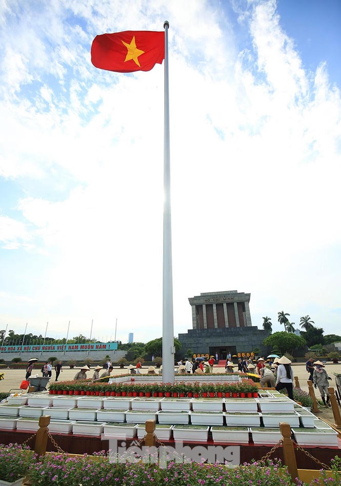 Những người thợ tận tâm dệt những thảm hoa, vườn cảnh quanh Lăng Bác - ảnh 9