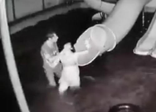 vu chong danh dap vo tu duoi nuoc len tan bo: loi cay dang cua vo hinh anh 1